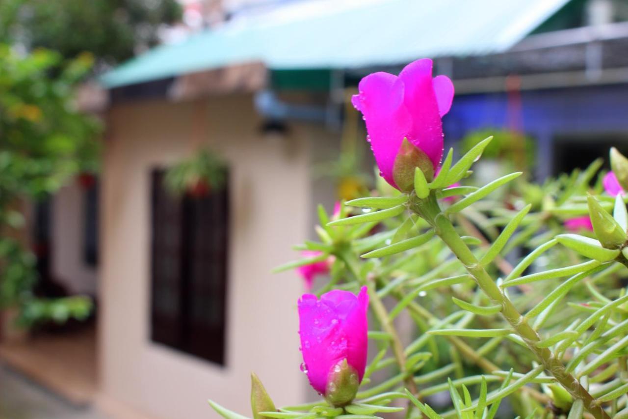 Homestay Minh Tu Hue Exterior foto